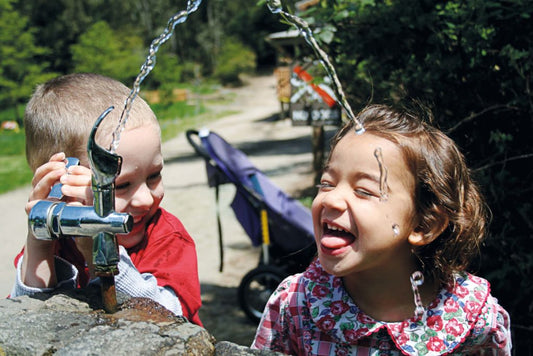 Preventing Lead Contamination In Schools