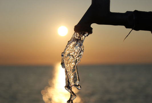 Lead Contamination: Risks, Cases And Protective Action