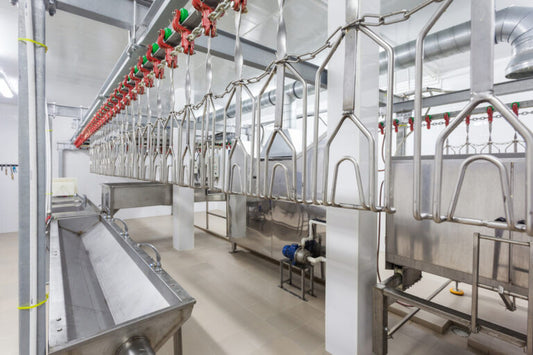 What Role Does Disinfection Play In Poultry Processing In The US?